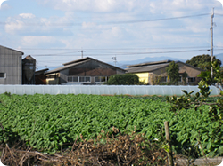 noda farm